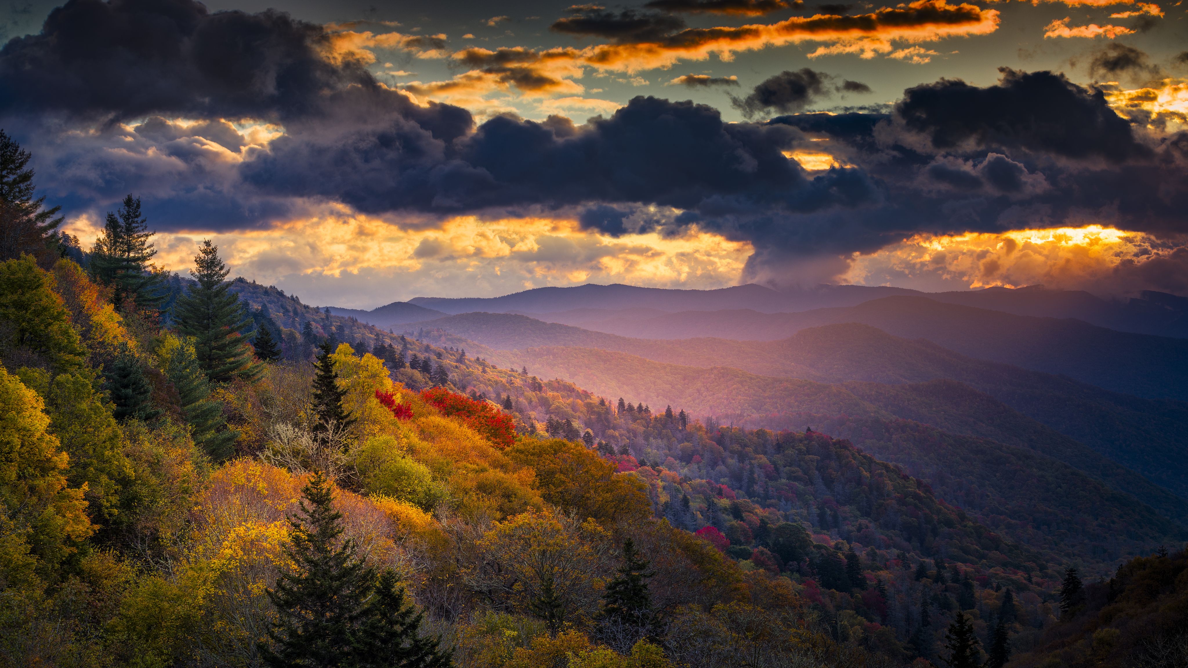 single-shaft-golden-dawn-sunlight-illuminates.jpg