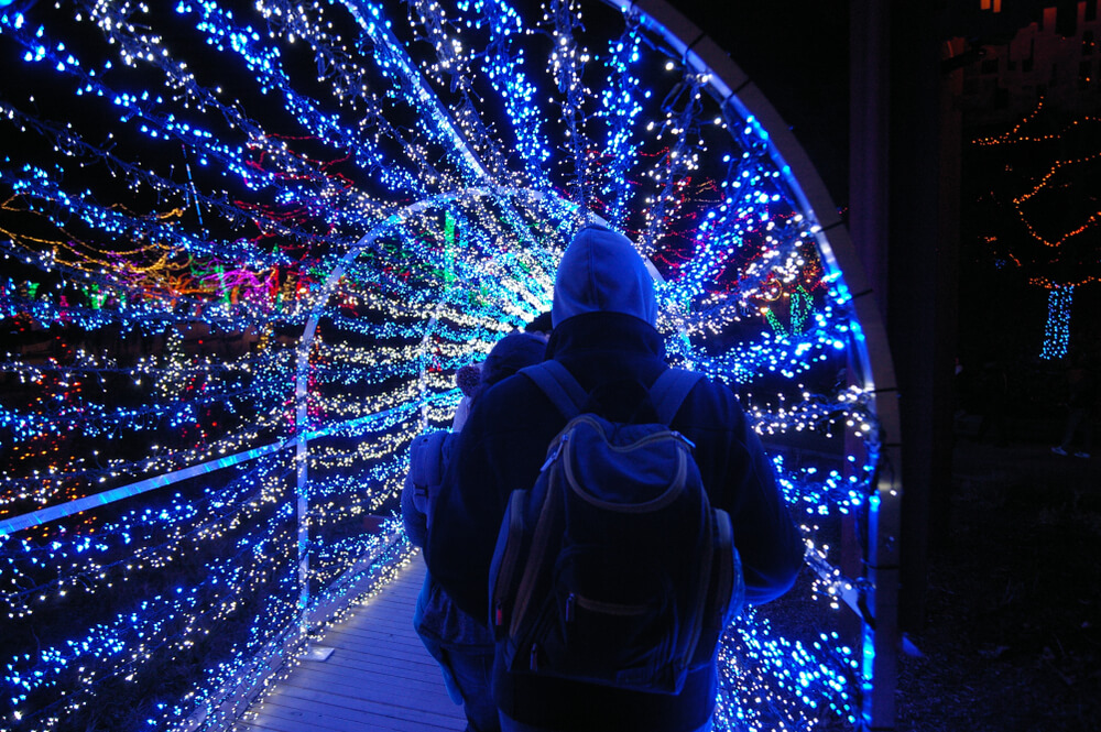 A person walking through a tunnel of lights at one of the popular Tennessee holiday events.